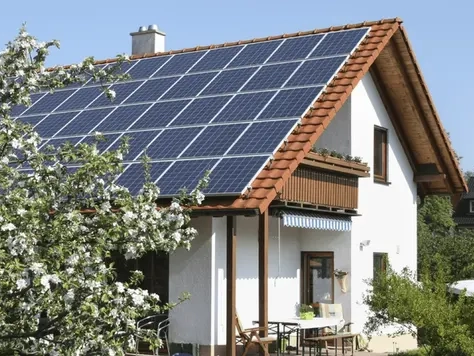 Ernte _ 17271419286 41